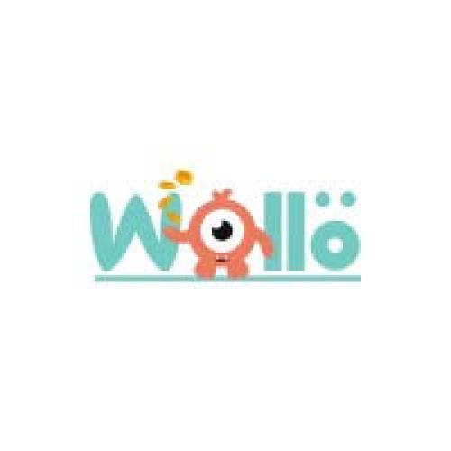Wollo Coins Ltd.